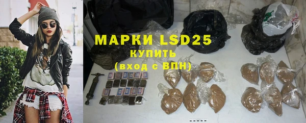 PSILOCYBIN Аркадак